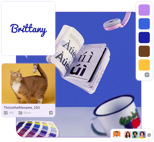 Pzaz.io moodboard showing images, typography, and color palette used by filmmakers to define visual style.